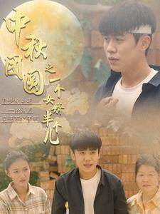 中秋团圆之一个女婿半个儿（33集）百度网盘在线看