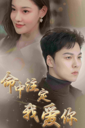 命中注定我爱你（75集）迅雷网盘观看