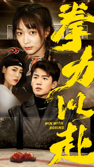 拳力以赴（80集）全集完整版