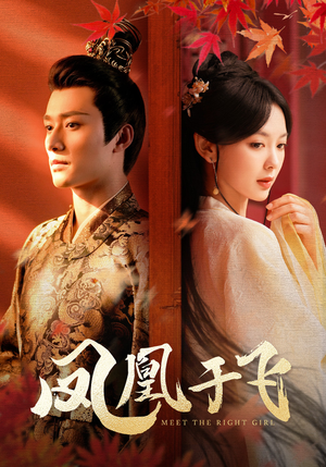 凤凰于飞（79集）太好看了短剧