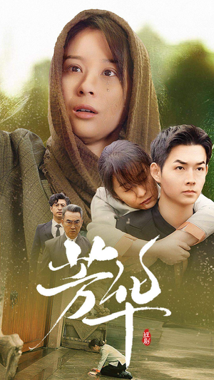 芳华(80集) 芳华(80集)我全都看完了