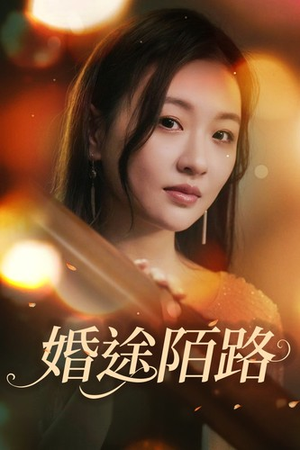 婚途陌路（15集）免费观看全集
