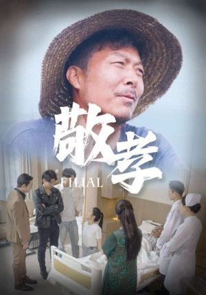 敬孝（61集）看过的人都说好