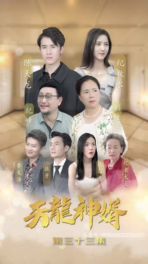 天龙神婿（80集）在线看