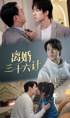 离婚三十六计（96集）短剧解说热门