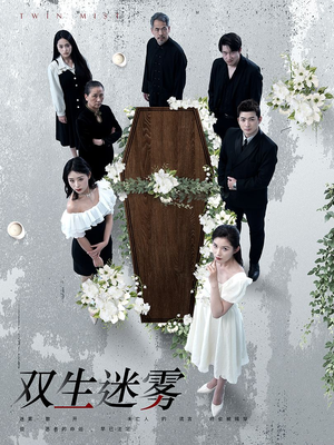 双生迷雾（80集）哪个短剧网能看