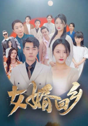 女婿回乡(120集) 女婿回乡(120集)火爆热门短剧