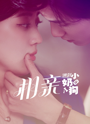 相亲遇到小奶狗（80集）抢先看新短剧