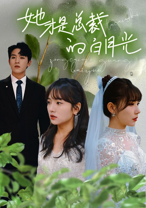 她才是总裁的白月光（90集）免费在线看全集