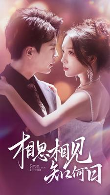 相思相见知何日（81集）精彩的网络短剧