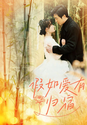 假如爱有归宿（73集）热门短剧大全