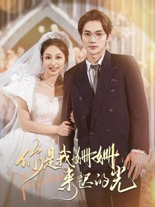 你是我姗姗来迟的光（99集）短剧精彩推荐