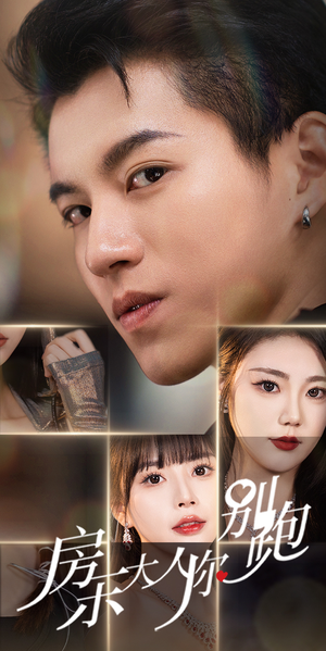 房东大人你别跑（77集）精彩短剧随心推