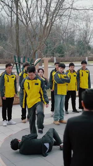 17.过大年之房不胜防（80集）好看吗