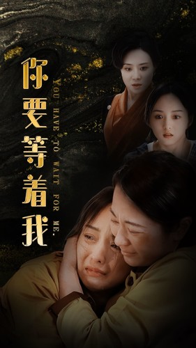 你要等着我(85集) 你要等着我(85集)最后的大结局