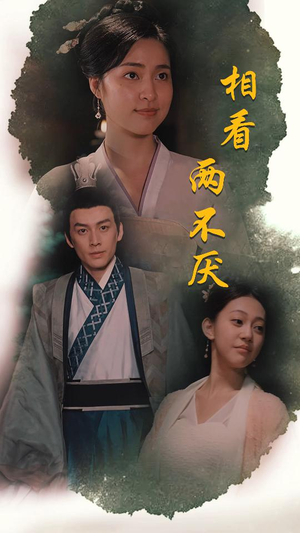 这个王妃不好惹（85集）短剧追到爽