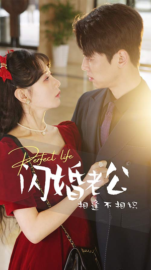 闪婚老公相逢不相识(90集) 闪婚老公相逢不相识(90集)每日短剧推荐