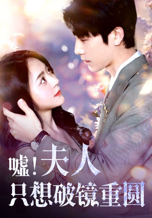 嘘！夫人只想破镜重圆（80集）短剧演员排行榜