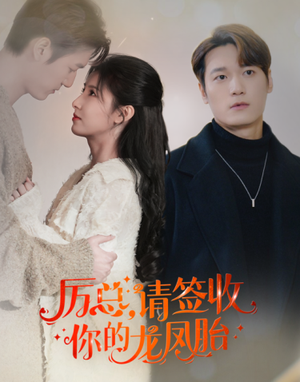 历总,请签收你的龙凤胎(69集) 历总,请签收你的龙凤胎(69集)短剧分享片段