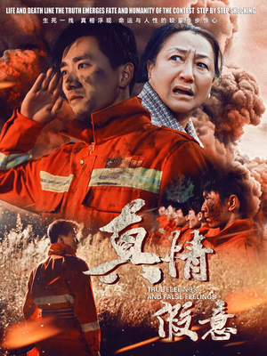 29.真情假意（62集）精彩的网络短剧