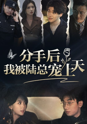 分手后，我被陆总宠上天（76集）热门短剧推广