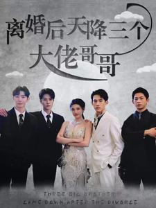 离婚后天降三个大佬哥哥（83集）无需会员免费看