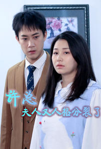 许总，夫人又人格分裂了（85集）在哪个平台看好