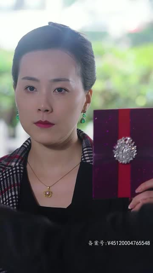 权御天下（95集）好看的短剧电影