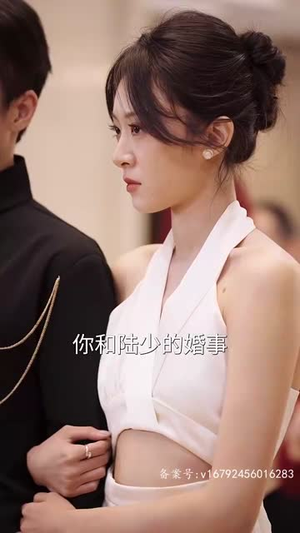 枭龙（60集）最新上映免费看