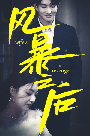 风暴之后（80集）最火的短剧