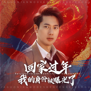 回家过年我的身份被曝光了（60集）在线观看完整版