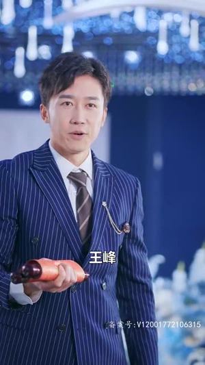 屠龙（84集）热播短剧分享