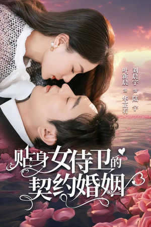 贴身女侍卫的契约婚姻（91集）真的好看吗