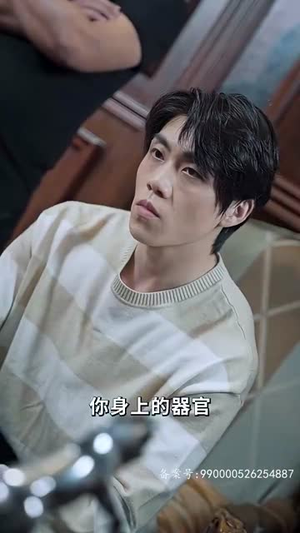 我在寒武纪元当城主(90集) 我在寒武纪元当城主(90集)网上可以看吗