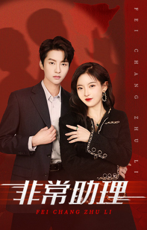 非常助理(102集) 非常助理(102集)真的好看吗