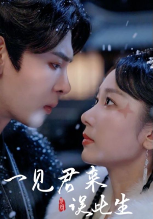 一见君来误此生(95集) 一见君来误此生(95集)爱短剧爱追剧