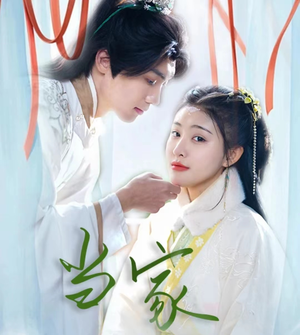 傻子王爷娇宠妃&当家（50集）百度网盘在线看