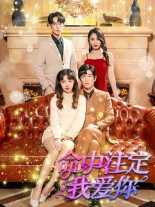 命中注定我爱你（99集）短剧在线看