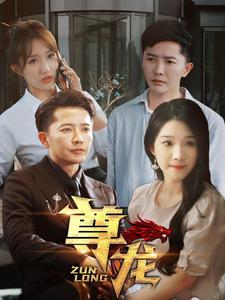 新版：尊龙（97集）热门短剧在线看