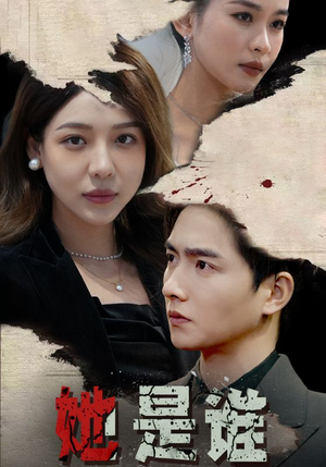 她是谁（79集）在线免费观影