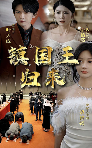镇国王归来(95集) 镇国王归来(95集)精彩短剧下载