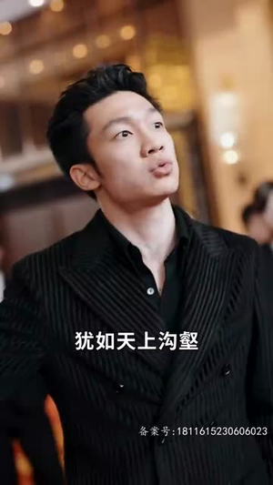 盖世我为王真的好看吗