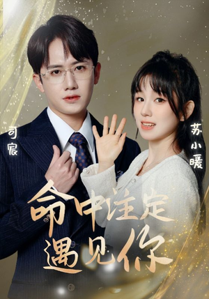 命中注定遇见你（96集）免费短剧资源