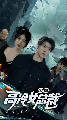 闪婚高冷女总裁(100集) 闪婚高冷女总裁(100集)男主角是谁