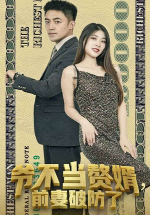 爷不当赘婿,前妻破防了(80集) 爷不当赘婿,前妻破防了(80集)全集在线看