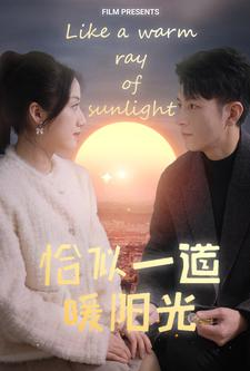 恰似一道暖阳光(85集) 恰似一道暖阳光(85集)最后的大结局