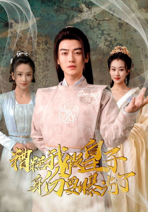 糟糕我假皇子的身份要曝光了(90集) 糟糕我假皇子的身份要曝光了(90集)真的太精彩了