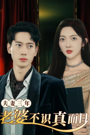 夫妻三年老婆不识真面目（83集）短剧精彩不断