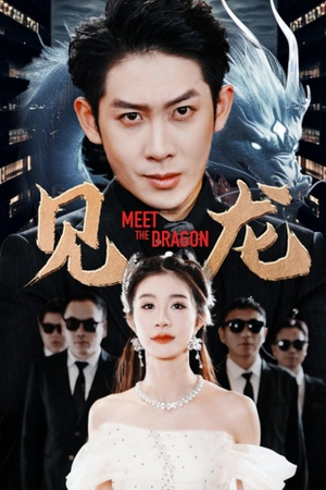 见龙（78集）短剧上头又好看