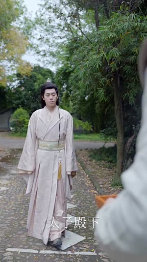 霸道王爷的丫鬟娇妻（88集）精彩短剧上线